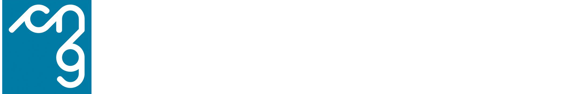 Consiglio Nazionale Geometri